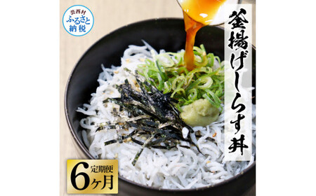 《6ヶ月定期便》高知県産釜揚げしらす×8パック 