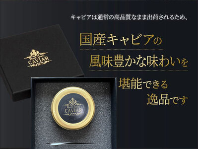 訳あり 高知産熟成キャビア30g シェルスプーン付