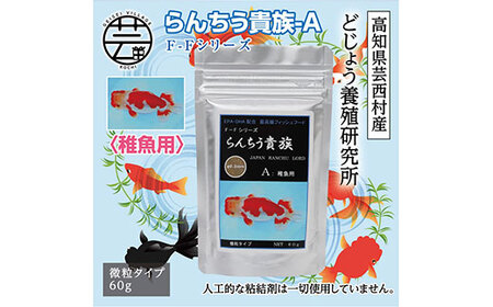 らんちう貴族a 60g 稚魚用 最高級 フィッシュフード Epa Dha配合 微粒タイプ らんちゅう 金魚 餌 餌 えさ エサ 観賞魚 餌やり 水槽 熱帯魚 観賞魚 飼育 生体 アクアリウム あくありうむ 高知県芸西村 ふるさと納税サイト ふるなび