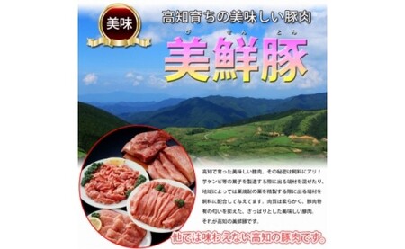 肉 豚肉 しゃぶしゃぶ美鮮豚 ロース しゃぶしゃぶ 1kgぶた肉 豚しゃぶ シャブシャブ鍋 送料無料 特産品 高知県産 ギフト Saneyam 高知市共通返礼品 お歳暮 御歳暮 高知県芸西村 ふるさと納税サイト ふるなび