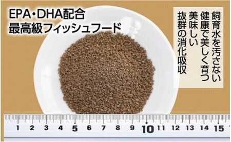 GROW C 85g 小型熱帯魚用 ＜最高級 フィッシュフード EPA・DHA配合 顆粒タイプ 魚 餌＞ アピストグラマ シクリッド スマトラ グラミー 等【餌 えさ エサ】【観賞魚 餌やり】【水槽/熱帯魚/観賞魚/飼育】【生体】【アクアリウム/あくありうむ】