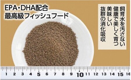 水源 C 100g 小型魚用 ＜最高級 フィッシュフード EPA・DHA配合 顆粒タイプ 魚 餌＞ メダカ タナゴ など 小型魚【餌 えさ エサ】【観賞魚 餌やり】【水槽/熱帯魚/観賞魚/飼育】【生体】【アクアリウム/あくありうむ】