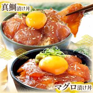 【ふるなび限定】かつおのたたき600g ネギトロ80gx2P 漬け丼の素80g×4P FN-Limited-PR