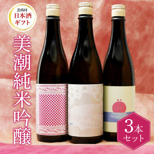 美潮 純米吟醸3本セット ふるさと納税限定 720ml 飲み比べセット