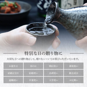 美潮 純米吟醸3本セット ふるさと納税限定 720ml 飲み比べセット