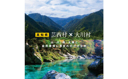 【芸西村と大川村の共通返礼品】芸西村 海鮮丼の素セット【個別発送】&大川村 土佐はちきん地鶏まるごと一羽セット