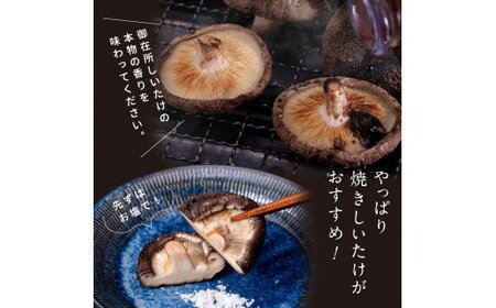 土佐味堪能4ヶ月香美市コラボ定期便（1回目「訳ありカツオたたき」約1.5kg／2回目「訳あり御在所しいたけ」350g／3回目「土佐和牛特選濃厚牛バラスライス」500g／4回目「ビンチョウマグロ漬け丼の素」80g×5P）