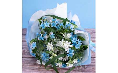 《先行予約》芸西村特産ブルースター花束（約15本程度の花束）