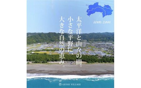 芸西米（げいせいまい）"コシヒカリ" 5kg 令和5年 高知の温暖な気候で育った芸西米 ※お申込み後に精米したての コメ を出荷いたします。令和5産 米 こしひかり 新米 白米 お米 美味しい もっちり 国産 高知県産 故郷納税 5000円