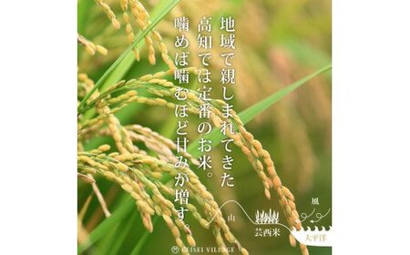 芸西米（げいせいまい）"コシヒカリ" 5kg 令和5年 高知の温暖な気候で育った芸西米 ※お申込み後に精米したての コメ を出荷いたします。令和5産 米 こしひかり 新米 白米 お米 美味しい もっちり 国産 高知県産 故郷納税 5000円