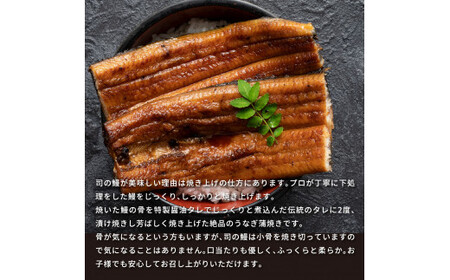 “土佐料理司”三代目天の鰻蒲焼1尾セット（ウナギ・たれセット）〈高知市共通返礼品〉  