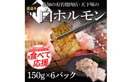 白ホルモン 天下味オリジナル本格塩ダレ漬け（150g×６パック） 高知市