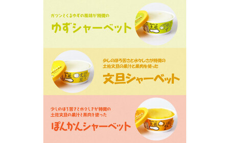 おいしいんだもの 高知アイスセット　