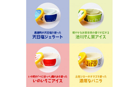 おいしいんだもの 高知アイスセット　