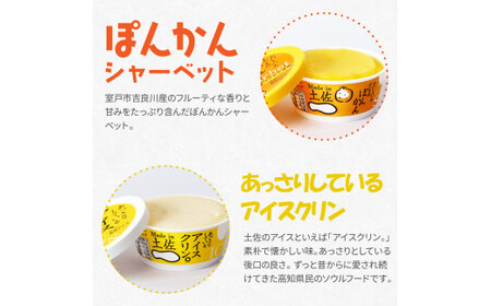 Made in 土佐のアイスクリンと柑橘シャーベットセット