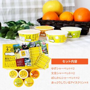 Made in 土佐のアイスクリンと柑橘シャーベットセット