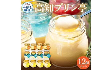 高知プリン亭 究極のなめらかプリンセット 12個入り