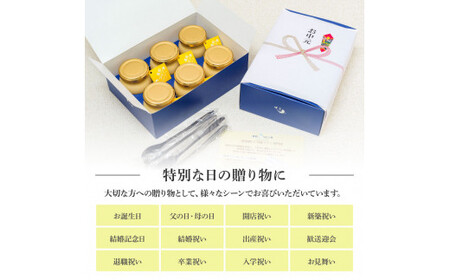 高知プリン亭 究極のなめらかプリンセット 12個入り 