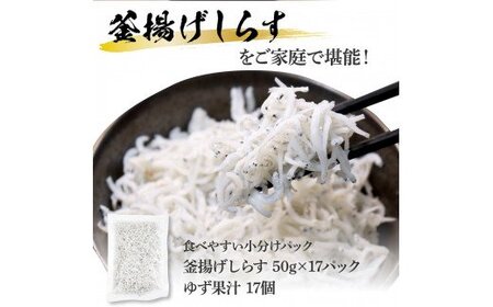 高知県産釜揚げしらす（50g×17パック）シラス 小分け 国産 無添加 釜揚げ しらす丼 海鮮丼 ゆずつき お茶漬け ごはん 軍艦巻き 寿司 17人前 大容量 冷凍 高知県 返礼品 12000円