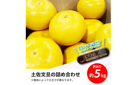 訳あり 土佐文旦5㎏詰め合わせ ムッキーちゃん(皮むき機)付き