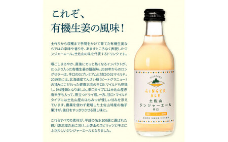 土佐山ジンジャーエール辛口20本セット