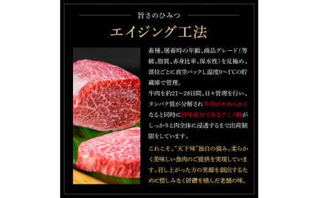 天下味 エイジング工法 熟成肉 土佐和牛 特選ロースブロック 300g エイジングビーフ ロース 牛 ブロック 国産 肉 牛肉 和牛 人気 老舗焼肉店 冷凍 食品 新鮮 真空パック 高級 お祝い 高知 高知県 芸西村 故郷納税 19000円 返礼品 贈り物 贈答 ギフト