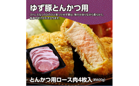 【高知のブランド豚/ゆず豚】二刀流セット（しゃぶしゃぶ＆とんかつ）約1.1kg 