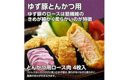 【高知のブランド豚/ゆず豚】脂身が甘いジューシーとんかつ4枚入り＆ソーセージ2P（約1kg）