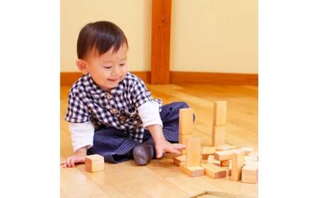 山のくじら舎 基本つみき 