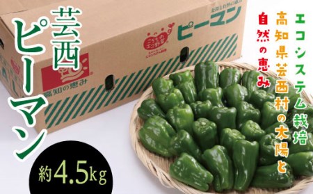 エコシステム栽培 芸西ピーマン 約4.5kg(バラ詰)