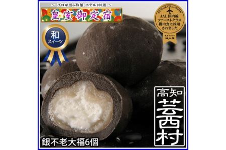 皇室御定宿の和スイーツ銀不老大福(6個入)
