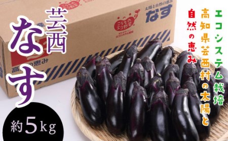 エコシステム栽培 芸西ナス 約5kg