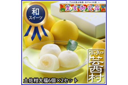 皇室御定宿の和スイーツ土佐柑大福6個×2セット