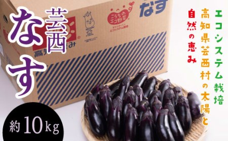 エコシステム栽培 芸西ナス 約10kg