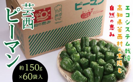 エコシステム栽培 芸西ピーマン 約150g×60袋
