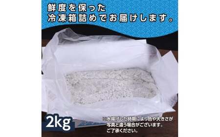 訳あり釜揚げシラス2kg 高知県産 釜揚げしらす 簡易梱包 わけあり 不揃い シラス 国産 釜揚げ 新鮮 しらす丼 海鮮丼 お茶漬け 冷凍配送 塩分控えめ お取り寄せ 芸西村シラス　芸西村しらす　高知県シラス　高知県しらす　じゃこ　ちりめんじゃこ