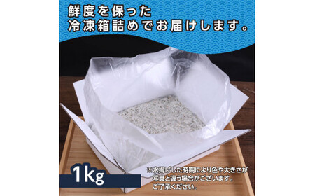 上物釜揚げシラス1kg 高知県産 釜揚げしらす 簡易梱包 シラス 国産 釜揚げ 新鮮 しらす丼 海鮮丼 お茶漬け 冷凍配送 塩分控えめ お取り寄せ