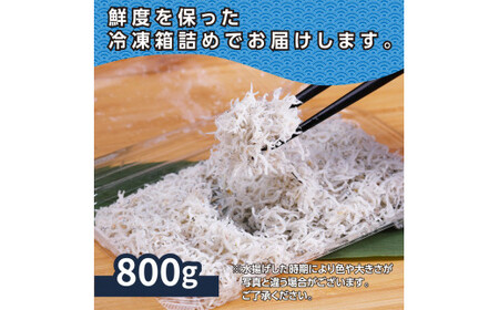 訳あり 釜揚げしらす 800g しらす シラス 釜揚げ 新鮮 塩分控えめ 赤ちゃん 子供 離乳食 わけあり ワケあり 不揃い しらす丼 海鮮丼 お茶漬け ごはん 冷凍配送 海鮮