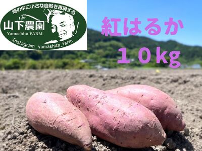 自然のままに。山下農園の超自然農法で育ったさつまいも（紅はるか）10kg