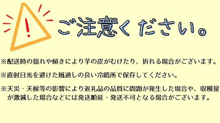 自然のままに。山下農園の超自然農法で育ったさつまいも（紅はるか）10kg
