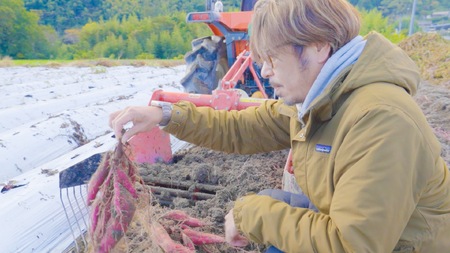 自然のままに。山下農園の超自然農法で育ったさつまいも（紅はるか）15kg