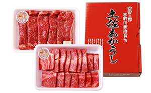 土佐あかうし　すき焼き＆焼肉チョイス 焼肉250g×2個