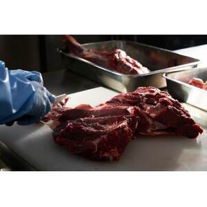 高品質!犬用鹿肉粗びきミンチ(冷凍生肉)【配送不可地域：離島】【1481851】