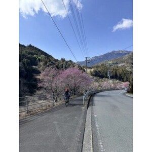 レンタサイクル電動自転車レンタル半日チケット　(3500円分の利用券)【1487939】