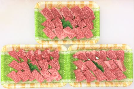 ttn189土佐あかうし肩ロース焼肉用(約800g)