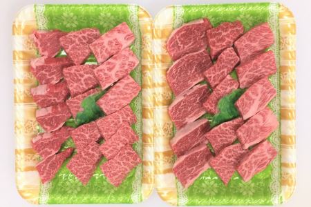 ttn188土佐あかうし肩ロース焼肉用(約530g)