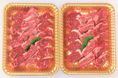 ttn184土佐あかうしロース焼肉用(約450g)