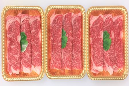 ttn170土佐あかうしローススライス(約740g)