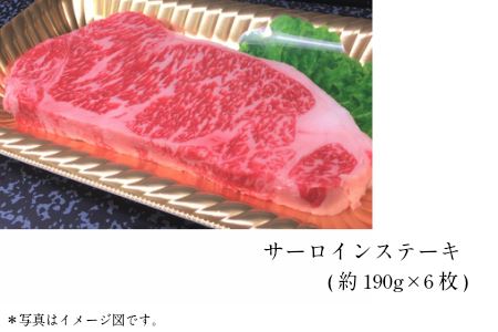 tthn5幻の和牛!土佐あかうし堪能定期便(6ヶ月コース)