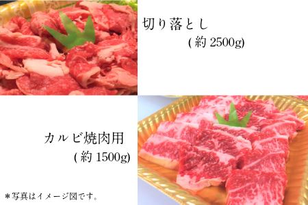 tthn5幻の和牛!土佐あかうし堪能定期便(6ヶ月コース)